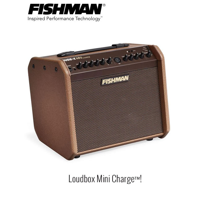 피쉬맨 라우드박스 미니 차지 60W Fishman Loudbox Mini Charge